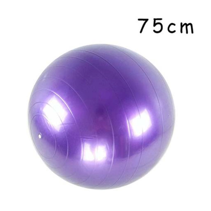 توپ جیم بال سایز ۷۵ مقاوم Swiss Ball – مناسب منزل و باشگاه