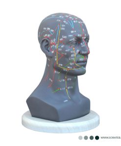 مولاژ طب سوزنی سر