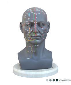 مولاژ طب سوزنی سر انسان