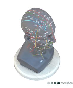 مولاژ سر طب سوزنی