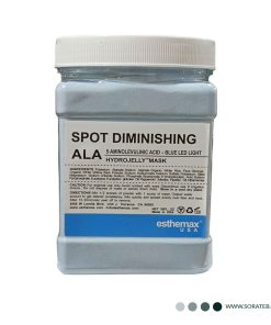 ماسک هیدروژلی هیالورونیک اسید استیمکس esthemax