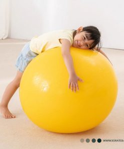 توپ جیم بال سایز 85