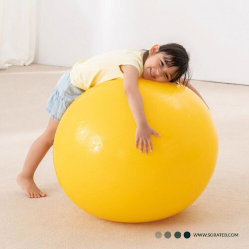 توپ جیم بال سایز 85