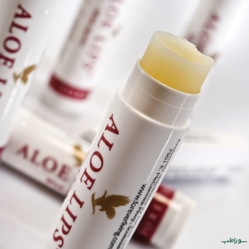 خواص بالم لب فوراور