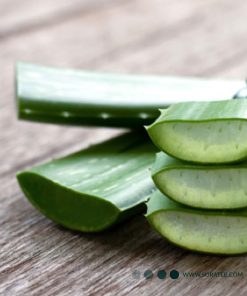 ماسک پودری لاتکسی آلوئه ورا Laiou Yan Beauty