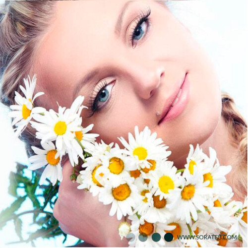 ماسک پودری لاتکسی بابونه Laiou Yan Beauty