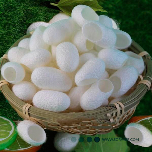 ماسک پودری لاتکسی پیله ابریشم Laiou Yan Beauty