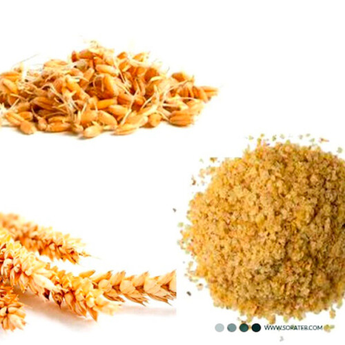 ماسک پودری لاتکسی پروتئین گندم Laiou Yan Beauty