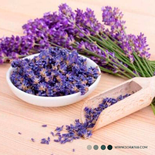 ماسک پودری لاتکسی لوندر Laiou Yan Beauty