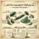 ماساژور صورت سنگ اصلی جید رولر و گواشا طبیعی
