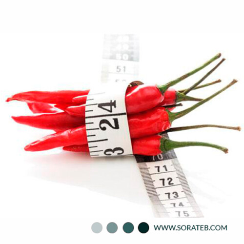 ژل لاغری بادی استایل یک لیتری