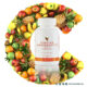 مکمل ویتامین سی فوراور – Vitamin C Forever