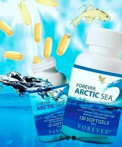 مکمل آرکتیک سى فوراور | Forever Arctic Sea