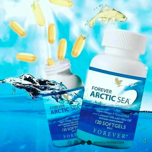 مکمل آرکتیک سى فوراور | Forever Arctic Sea