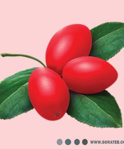 مکمل لیسیوم پلاس فوراور