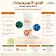 فوراور اکتیو پروبیوتیک | تقویت گوارش و ایمنی | Forever Active Pro-B
