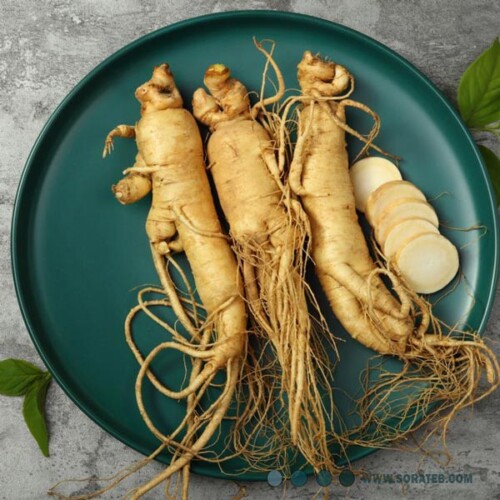 مکمل جین چیا فوراور