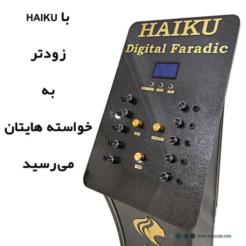 دستگاه فارادیک ده کانال هایکو