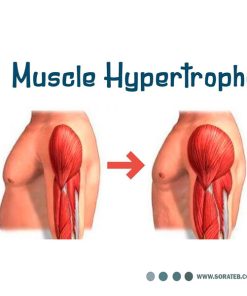 دستگاه فارادیک ده کانال هایکو