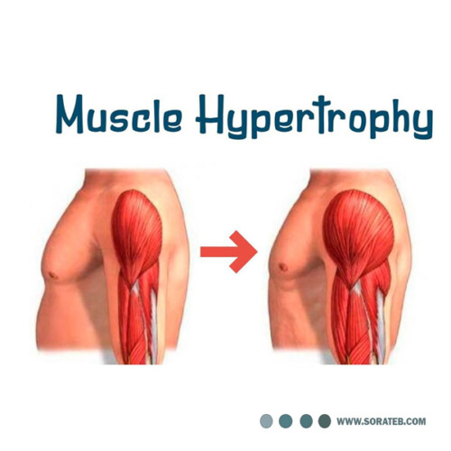 دستگاه فارادیک ده کانال هایکو