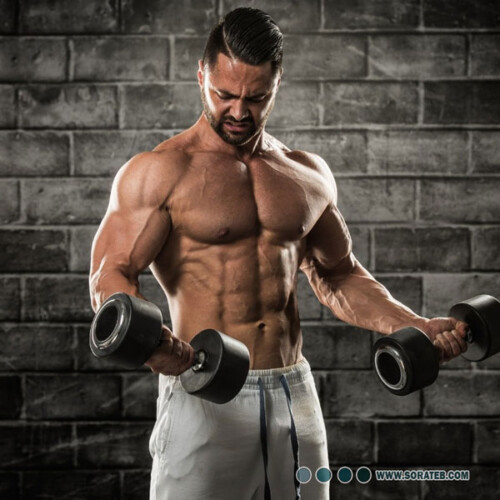 دستگاه فارادیک ده کانال هایکو