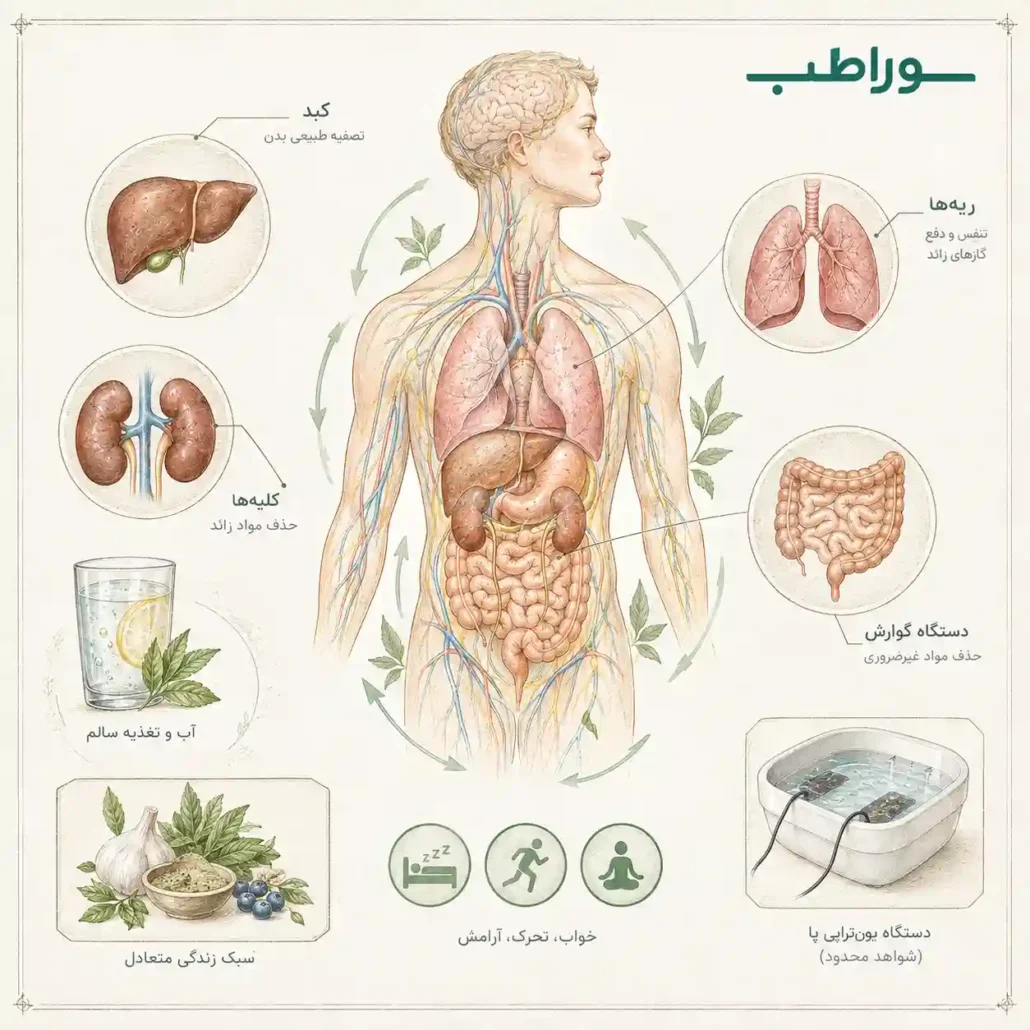 آیا بدن به سم‌زدایی دوره‌ای نیاز دارد؟